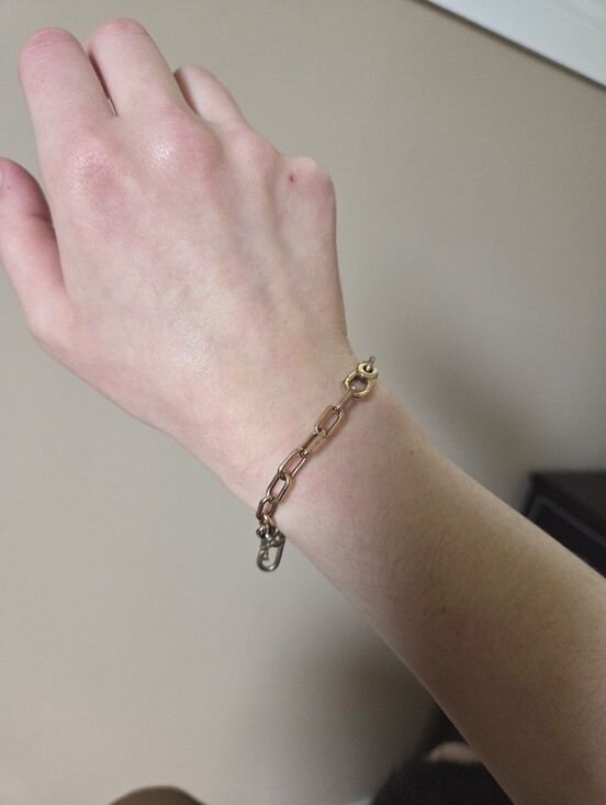Pandora Jewelry - Pandora rose gols plated charm link bracelet